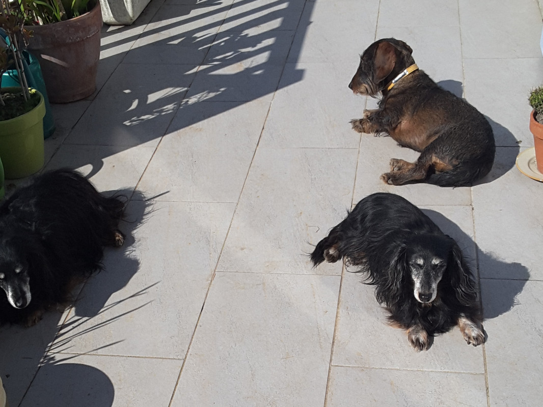 [Image: 20220317-142249.jpg]