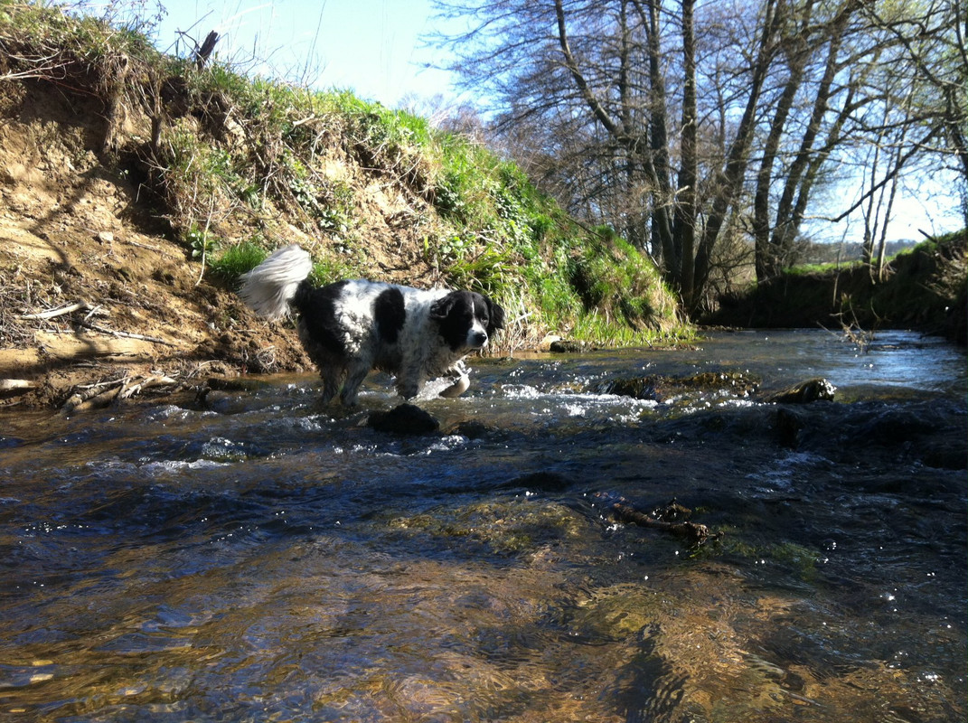 4125F766-7AE6-4962-B7B7-A8EB4D865017