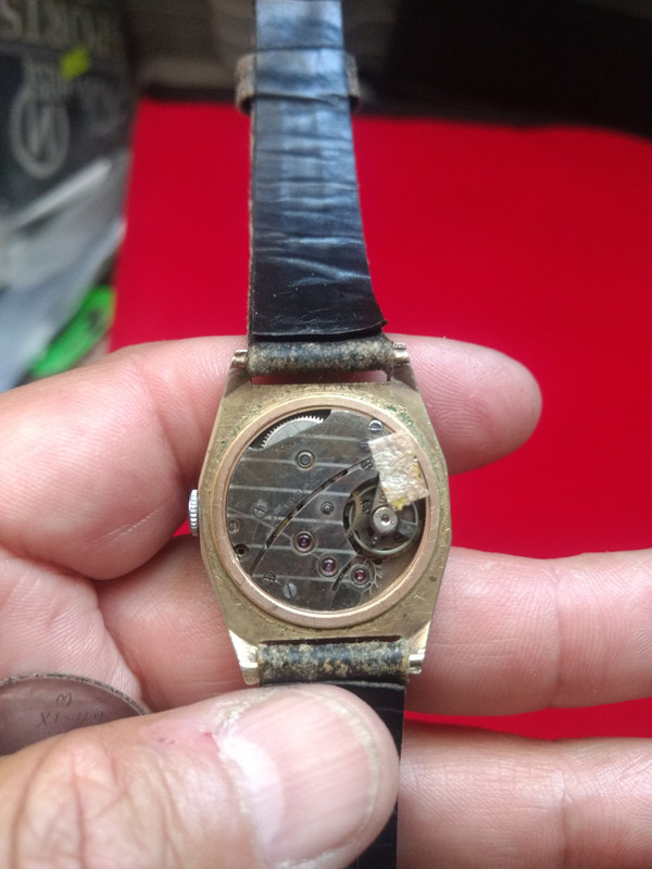 IMG_20191014_173037047