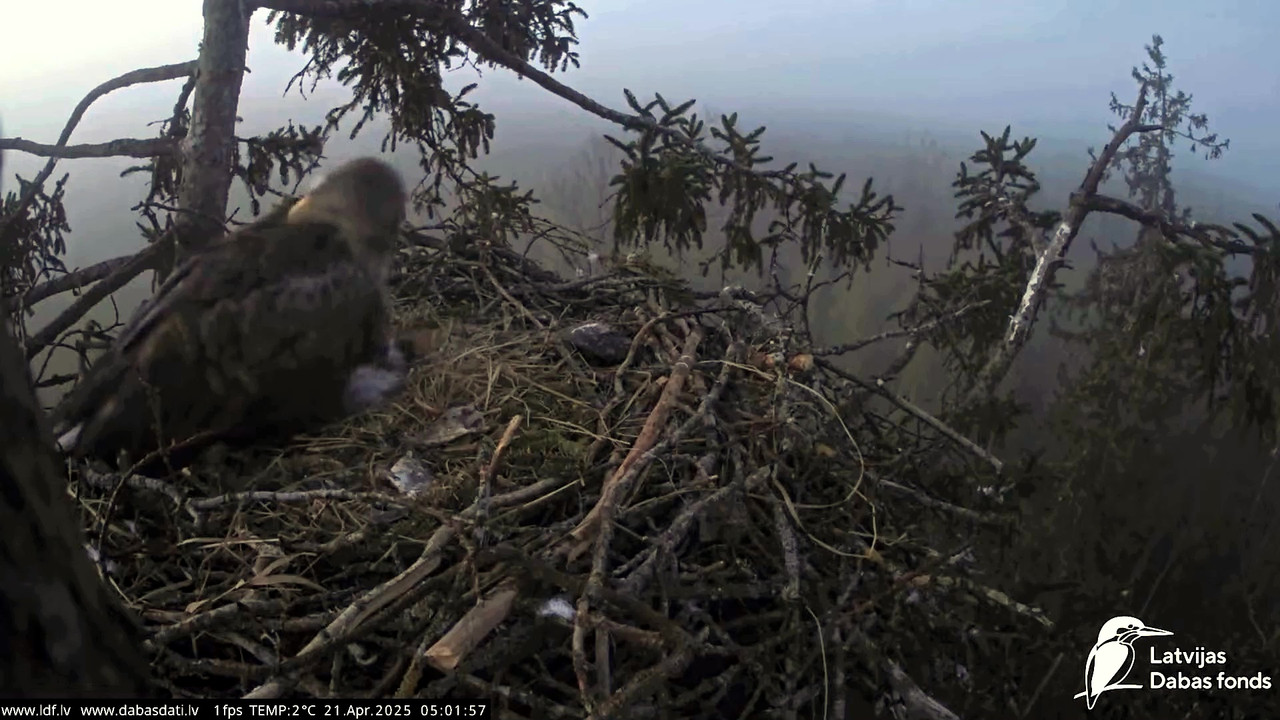 vlcsnap-2025-04-21-07h10m36s608