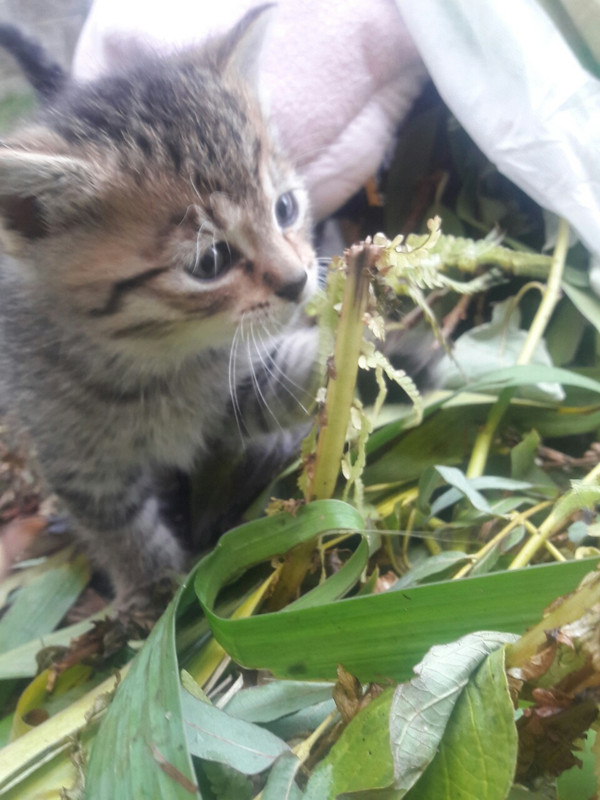 изображение_viber_2019-10-09_15-43-20