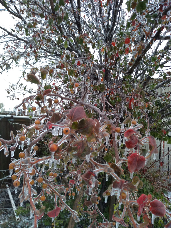 IMG_20201026_170223693