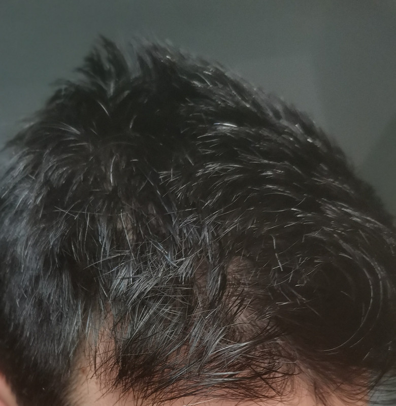 IMG 20260917 113230