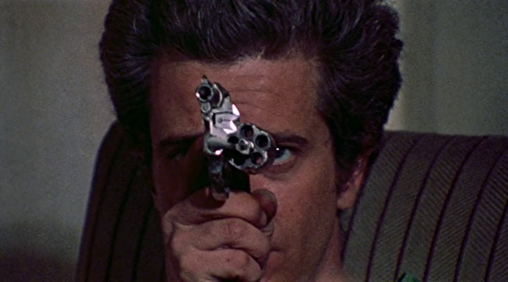 vlcsnap 2026 01 13 14h39m42s955