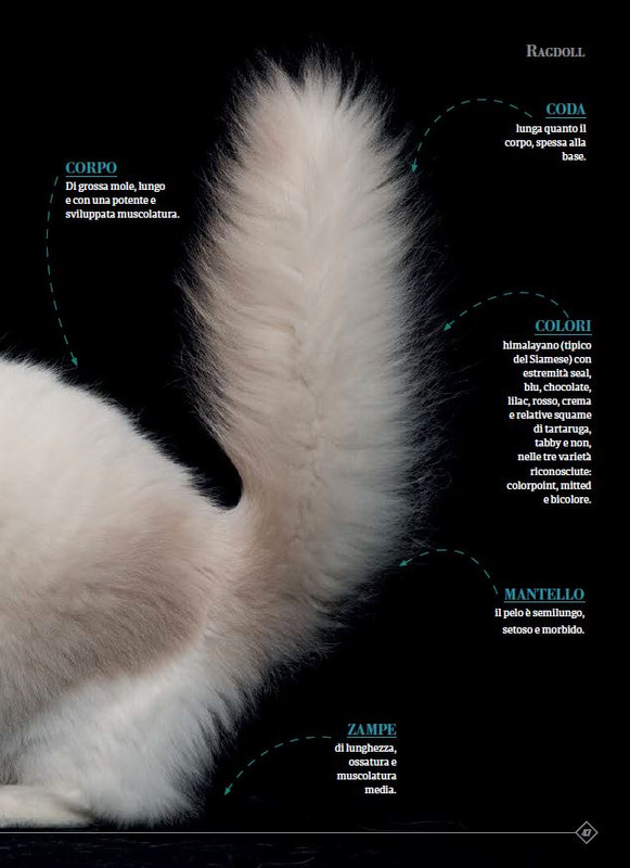 Argos Ott-Nov 2023 (8)