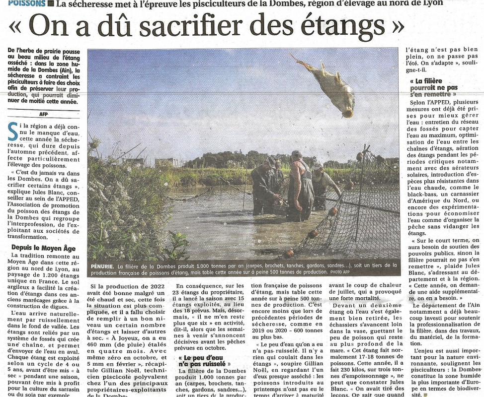 Vu dans la Presse 2023 - Page 2 2023-08-27-100820