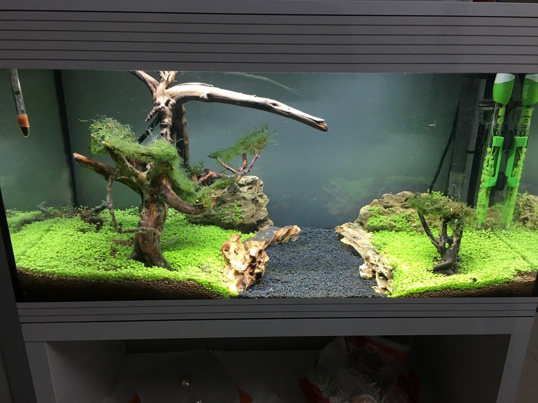 D8FB9A29-4EF6-4C2F-89C4-D3B964247795