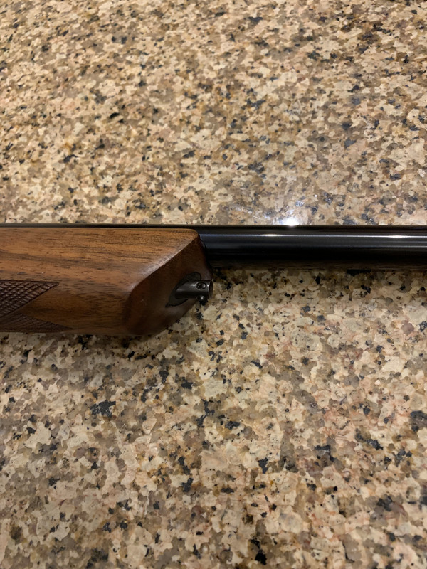 0463DCAE-53C7-4E03-9349-85F89C02D17A