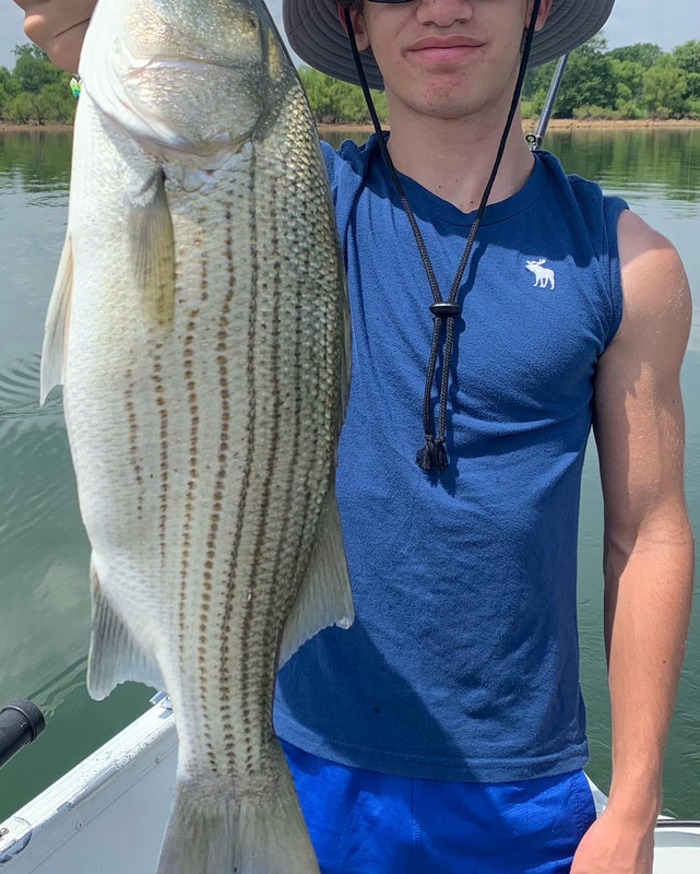 EE70B166-6BCB-4FE3-B676-6A9DB874DFF5