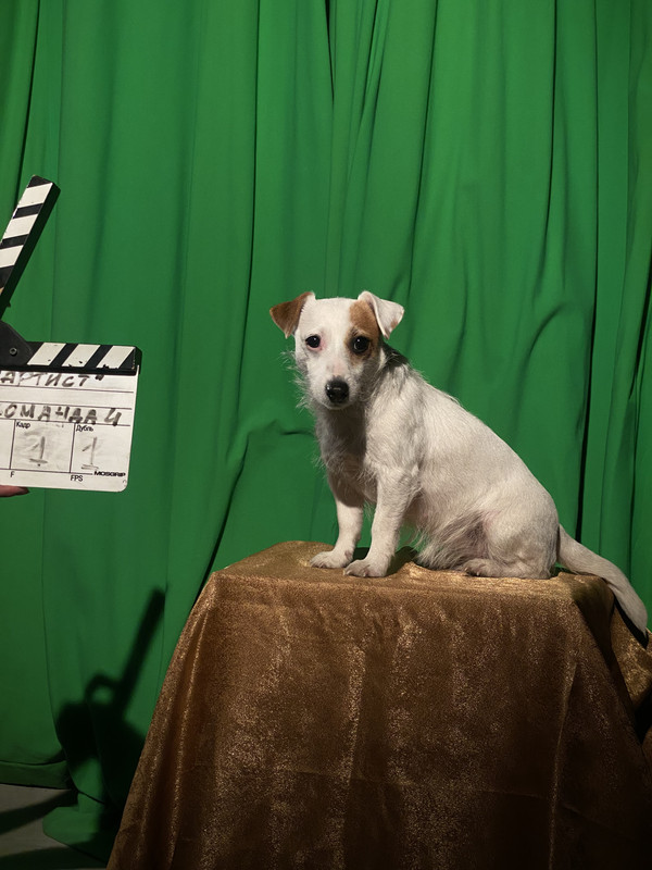 BD5349BF-678A-4058-9375-DD76A0AABDD0