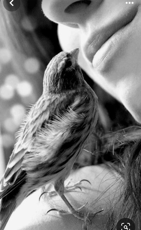 Screenshot_20231220_143058_Pinterest