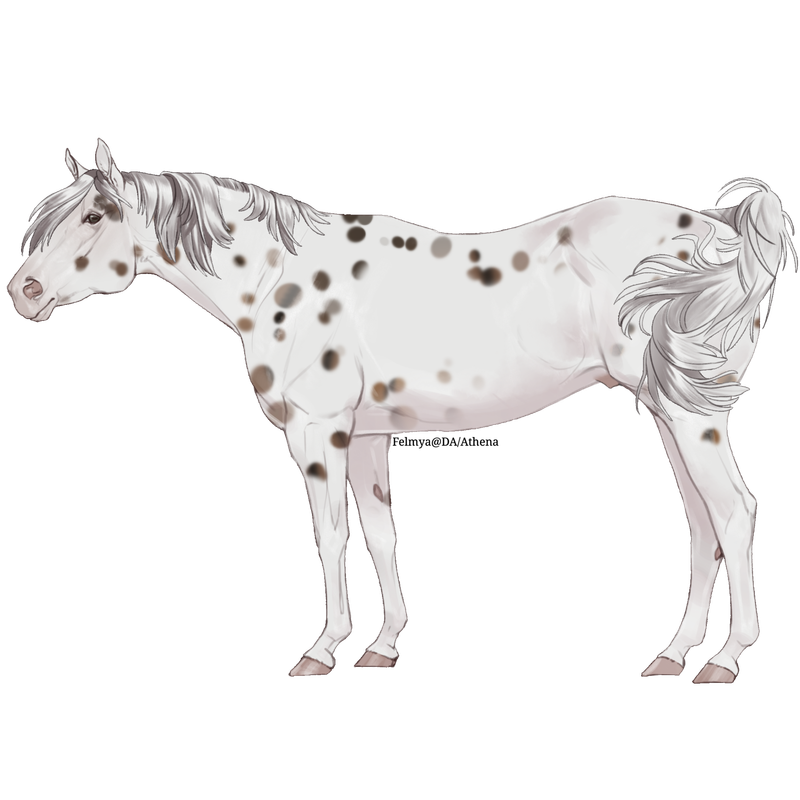 Untitled88-20250617141700.png