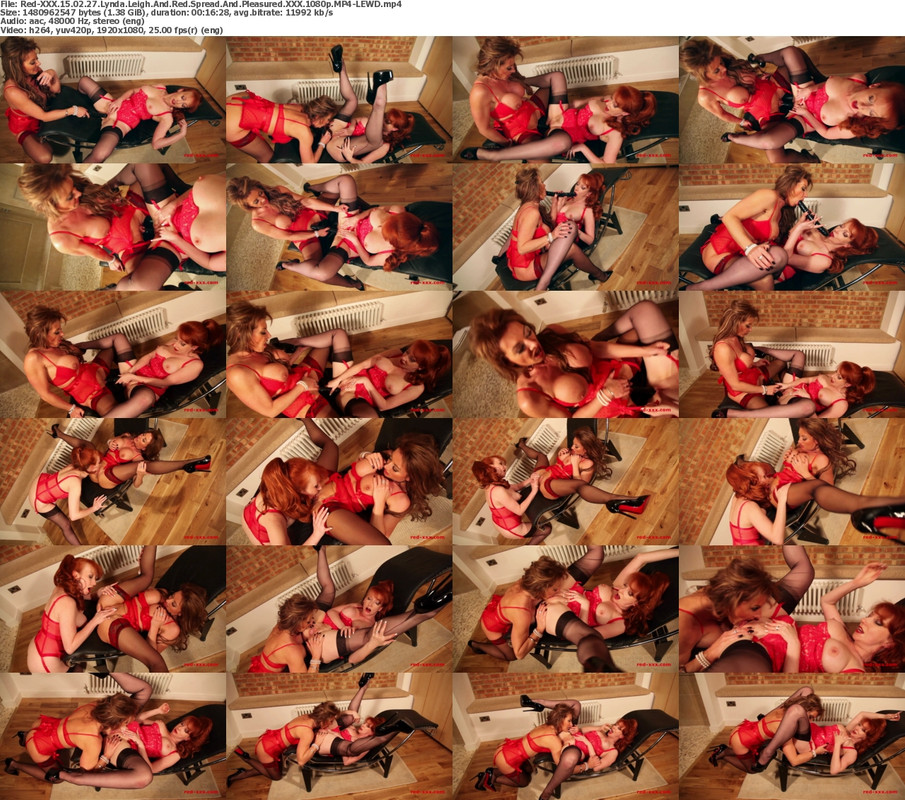 12082024204931screenshot