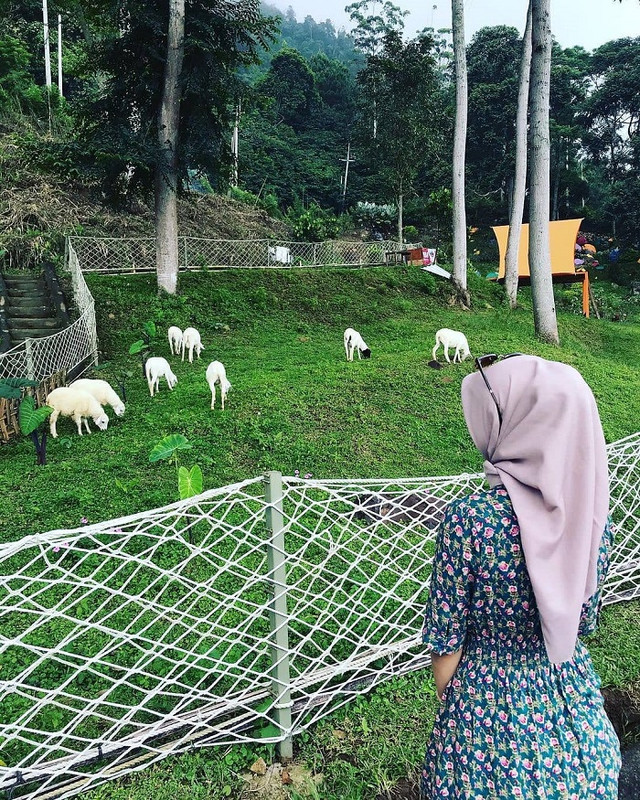 Pengunjung yang menikmati wahana sheep park.
