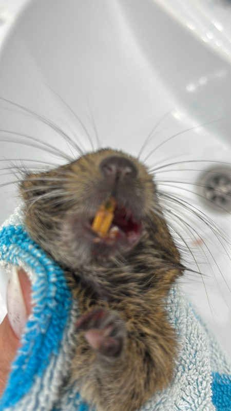 C4AC4876-3261-49D3-9B7E-C74F3779D706