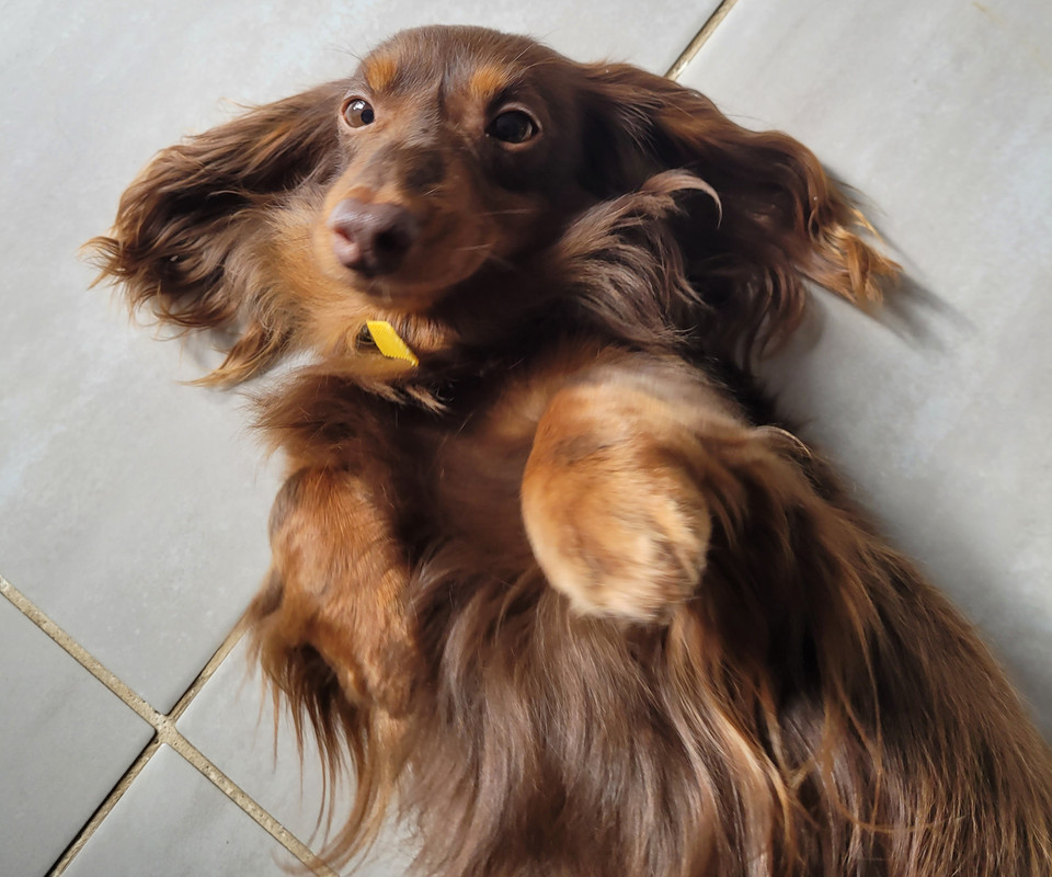 [Image: 20250222-135353.jpg]