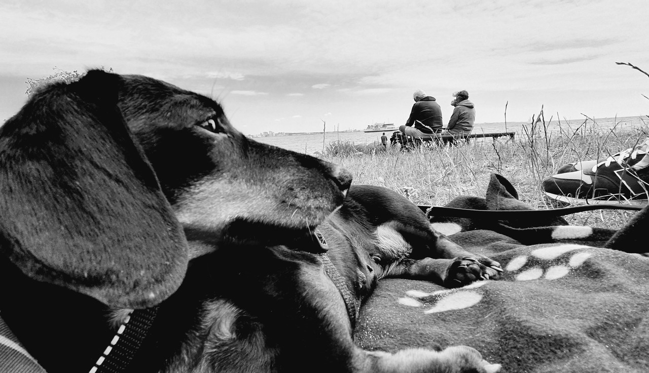 [Image: 20220724-131549.jpg]