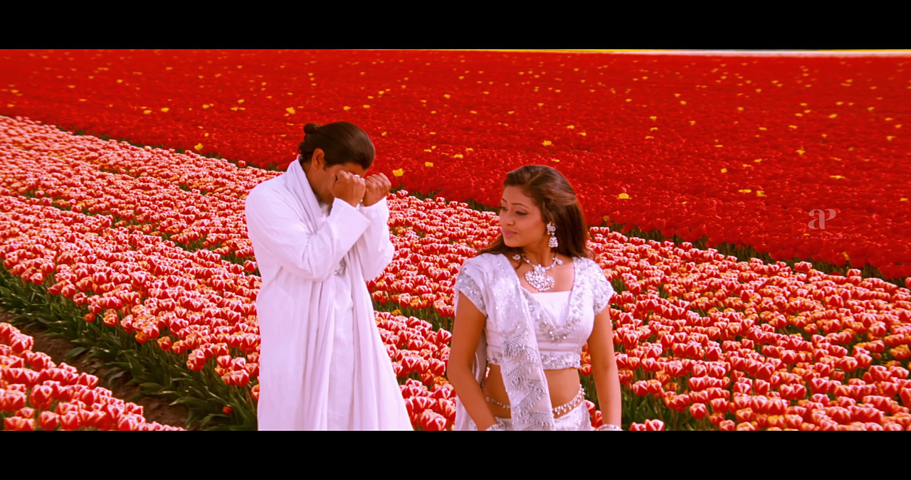 VideoCapture_20241122-195043