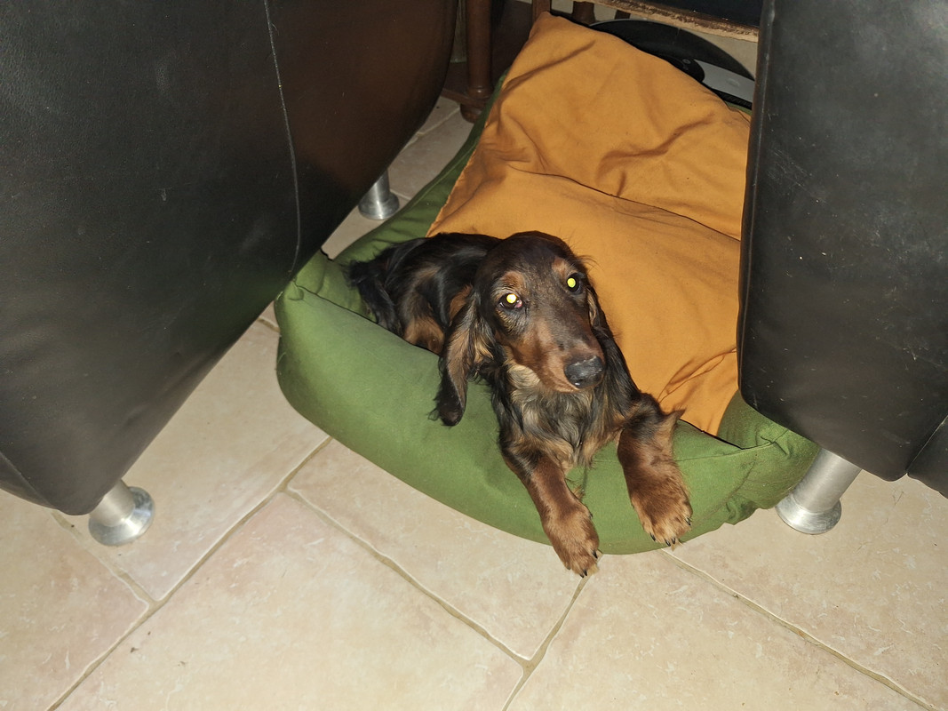 [Image: 20240203-143359.jpg]