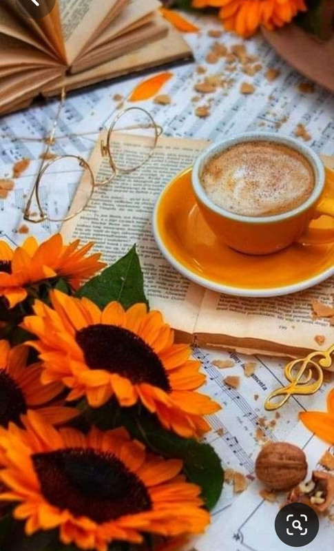 Screenshot_20230731_230601_Pinterest