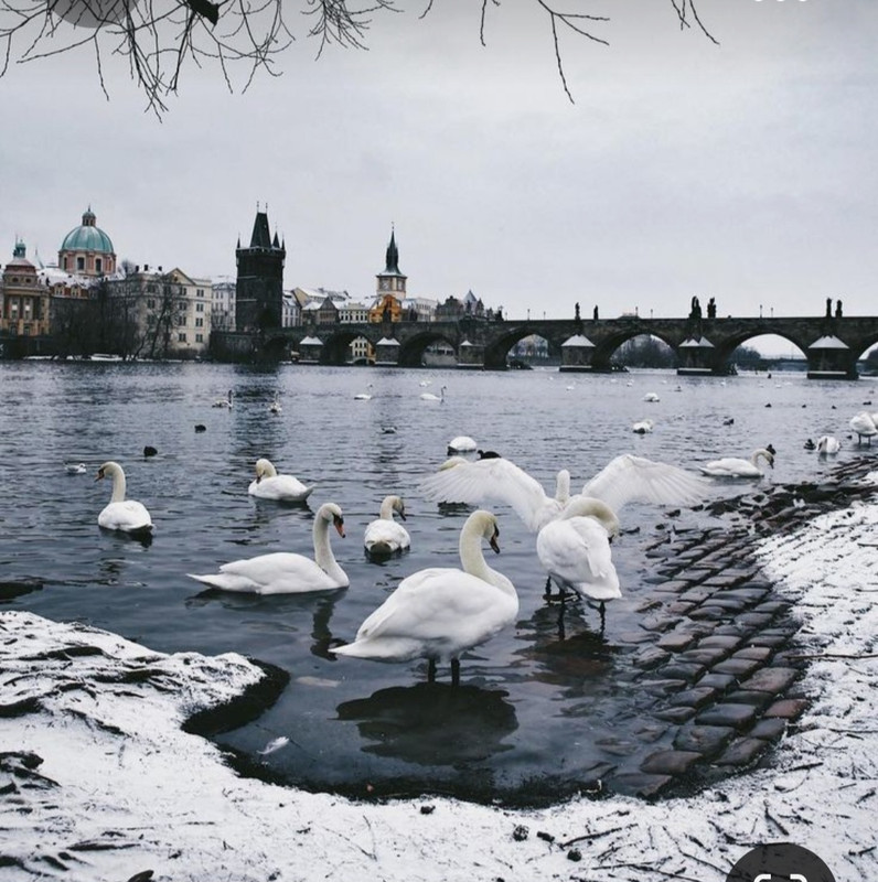 Screenshot_20231023_232206_Pinterest