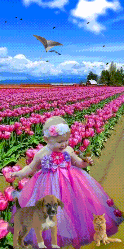 37234B60-18F0-4397-ADF5-82A001573BD3