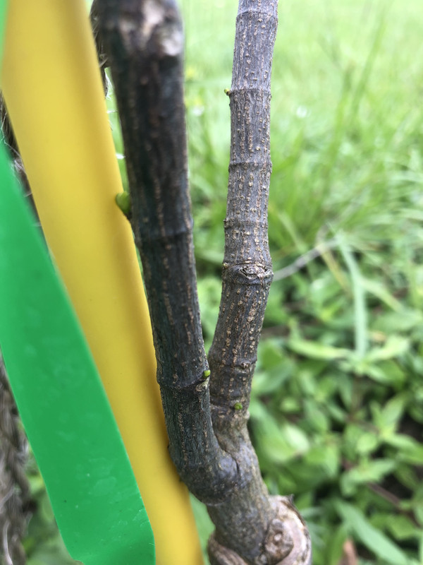 6F4B5AAE-5C7B-4D08-A560-ED6FC7035FD2