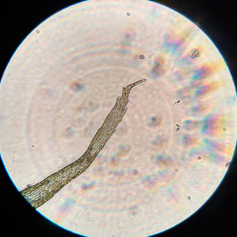 IMG 20250616 212343 HDR