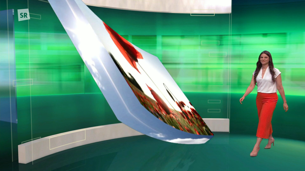 Screenshot (136952)
