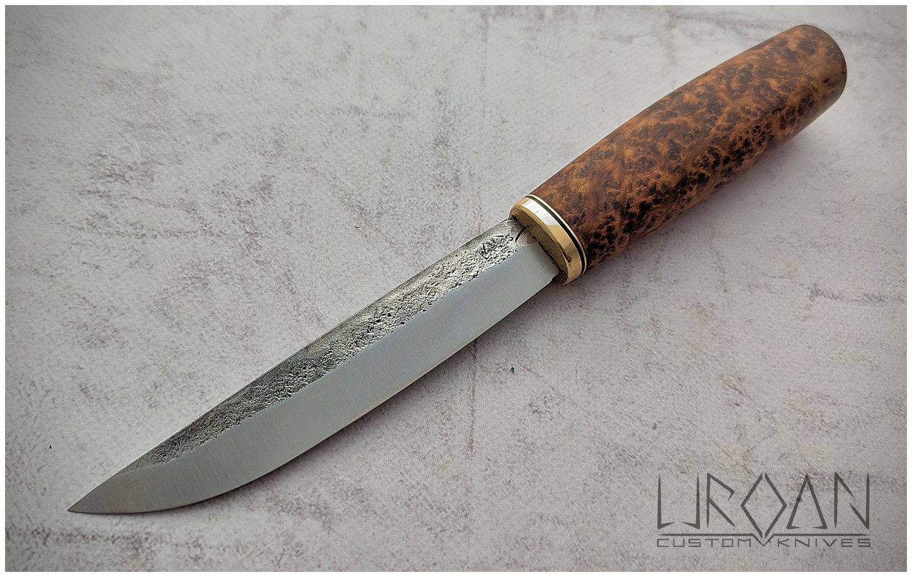 PXL 20260226 114915463