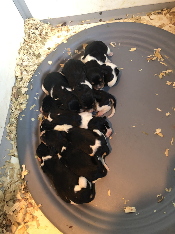 3AC88B95-CFC2-4083-B719-E535BF423F0B