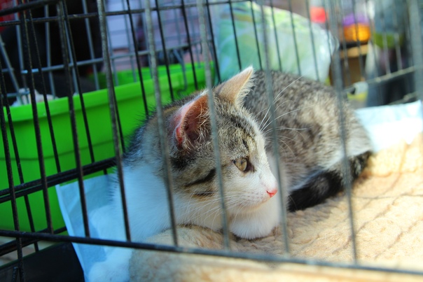 0952A4FE-6DB4-43F9-8E3D-F78E99306521