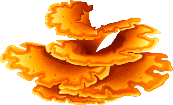 Elements (35)