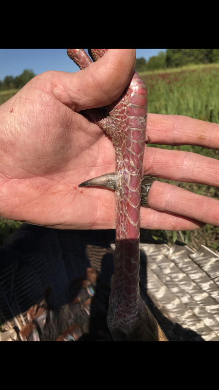 1513D376-8D9B-4E3D-A61C-A2D361B6B3AB