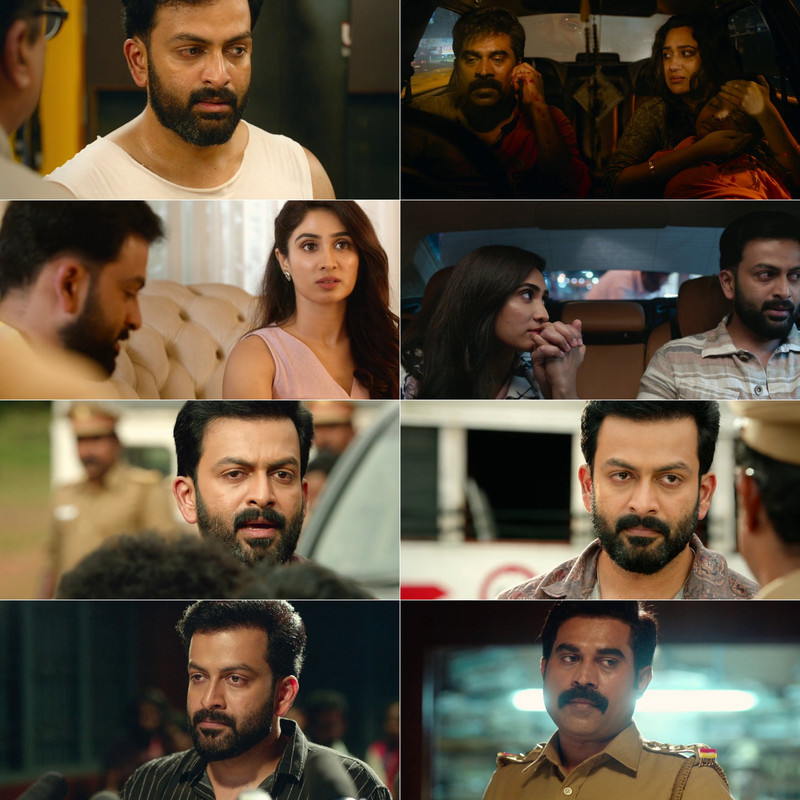 Driving Licence (2019) Dual Audio [Hindi + Malayalam] Full Movie HD ESub screenshot