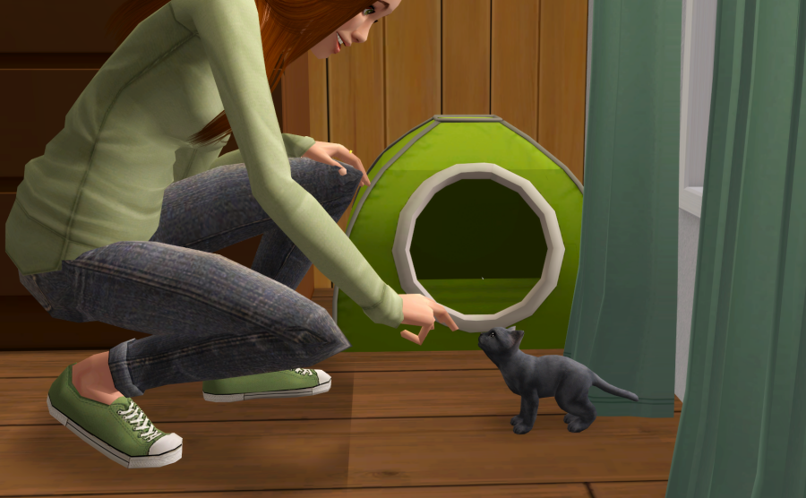 Sims2-EP9-RPC-2021-05-15-16-59-50-85