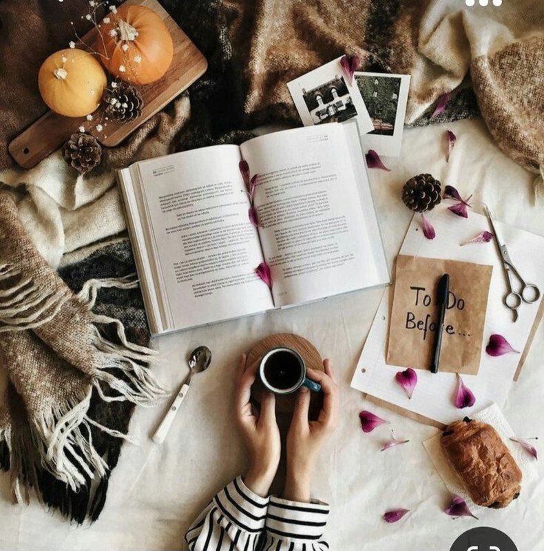 Screenshot_20231008_225436_Pinterest