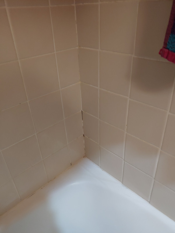 recaulking bathroom tile r/DIYHome