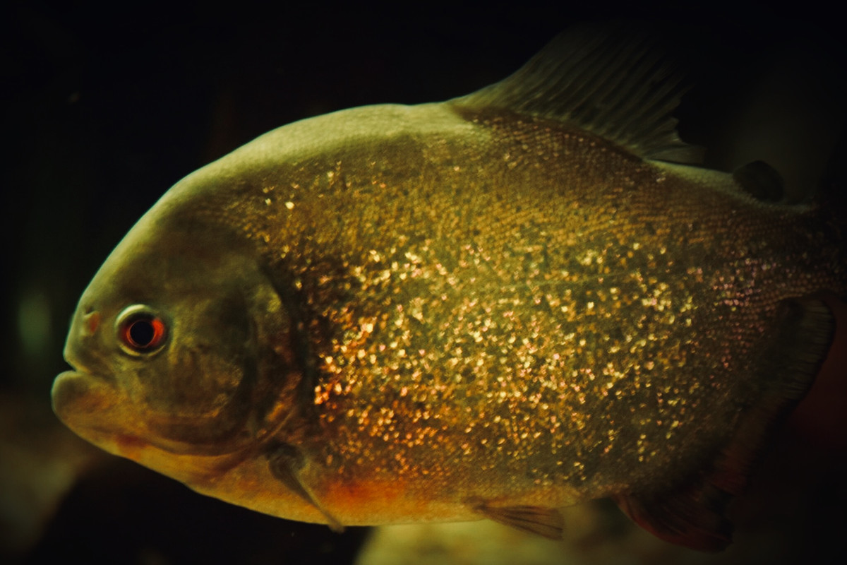 776A83FB-0187-455C-9999-9A55439C95D1