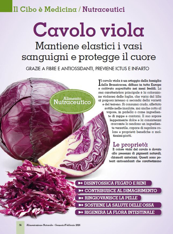 Alim Nat Gen Feb 2026 (5)