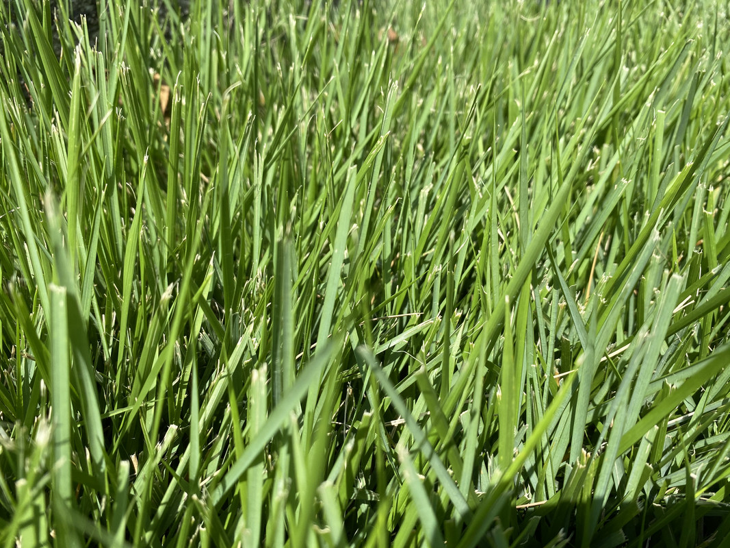 972E7433-29CE-4CE2-B7FF-B85710F865E3