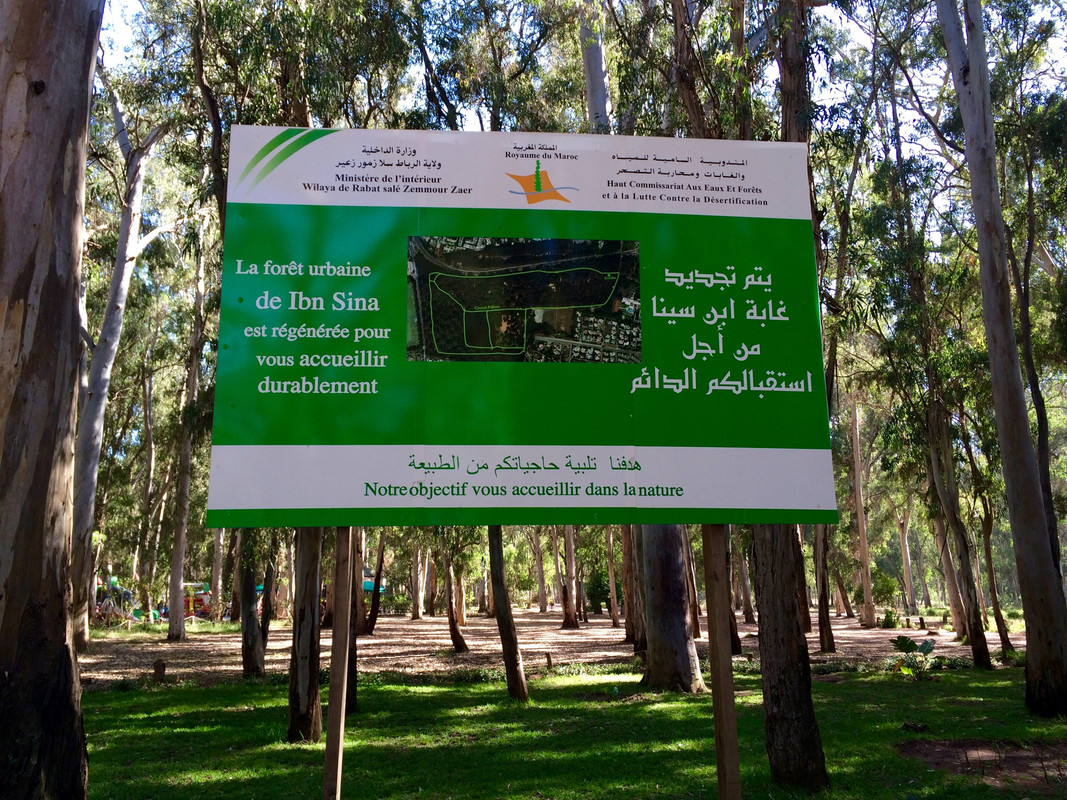 Que visitar en Rabat, Ciudad-Marruecos (159)