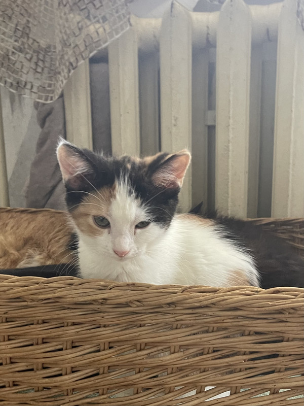 7181D0CD-08F4-44E6-B4C0-84CC8DBD74FB