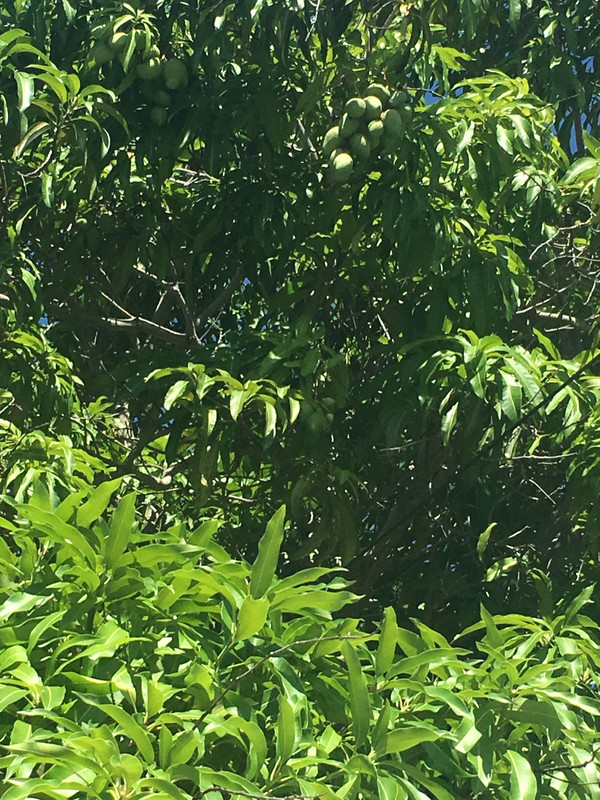 8289C629-5E4A-4015-8F8A-E36A97361707