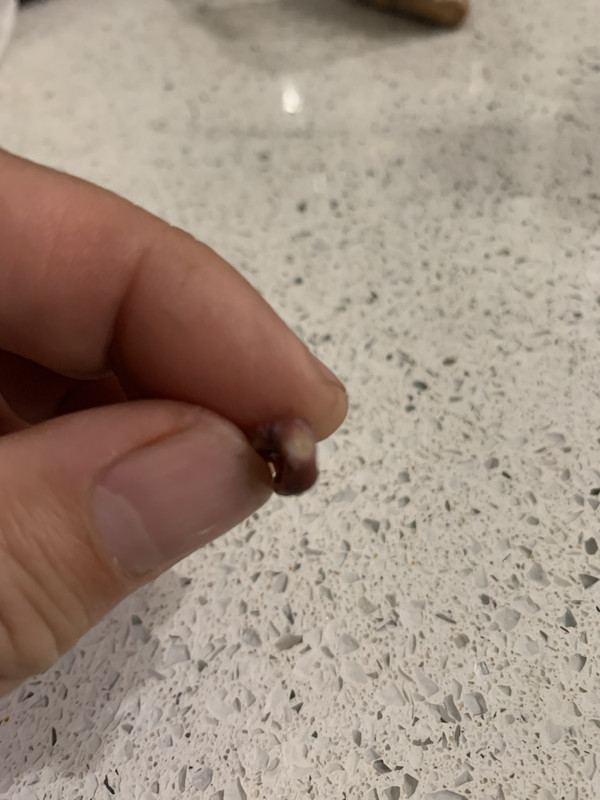 08DE3C0D-7751-4D20-9021-CCFBA84277D1