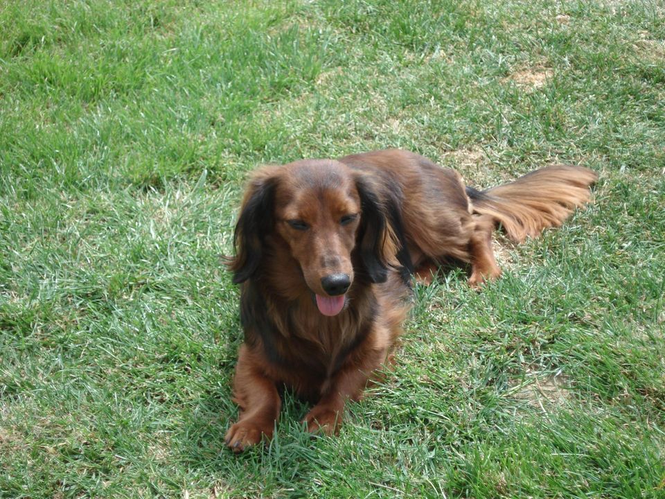 [Image: 436683776-1639013426860461-7260562477640089518-n.jpg]