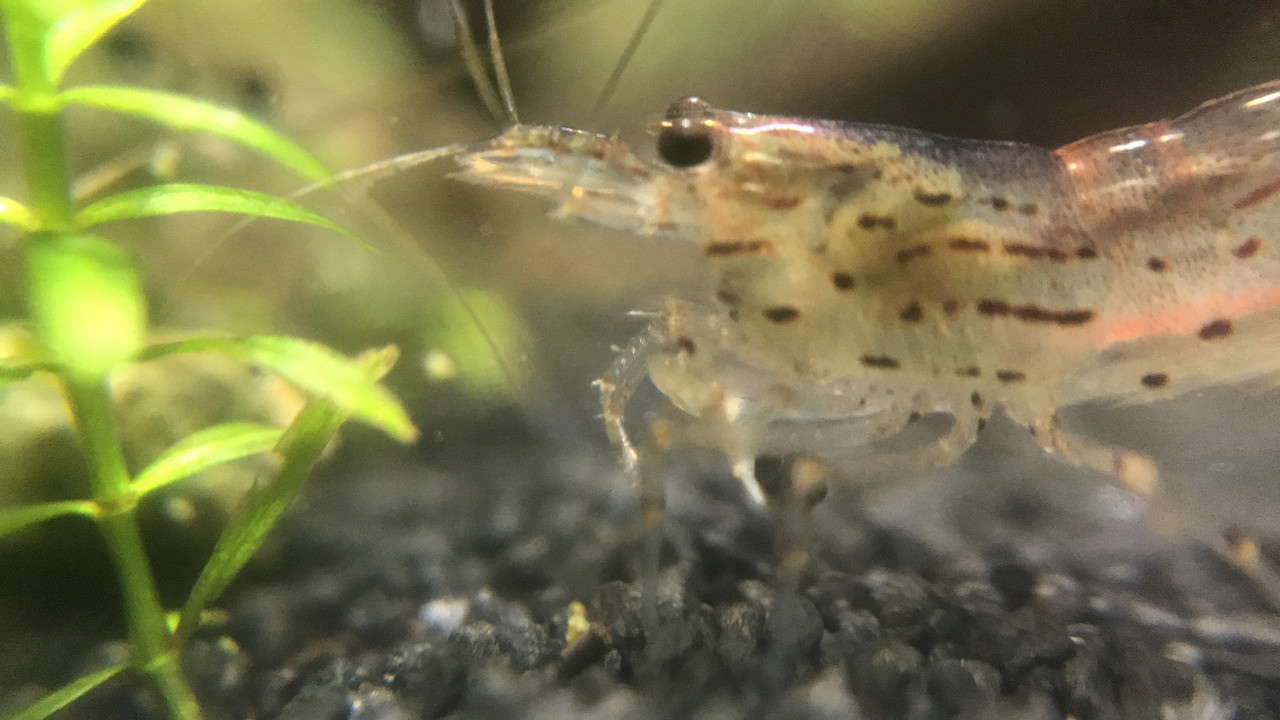 E0F03607-DD11-47FE-B5BE-BA1EFFC6250F