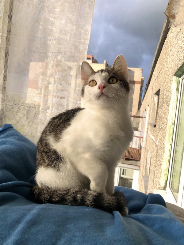 36E738E8-1EC6-4959-8F11-46D48EDBBE3E