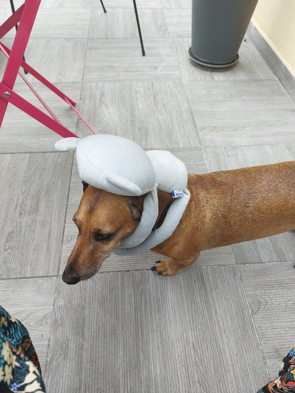 [Image: image000000-297.jpg]