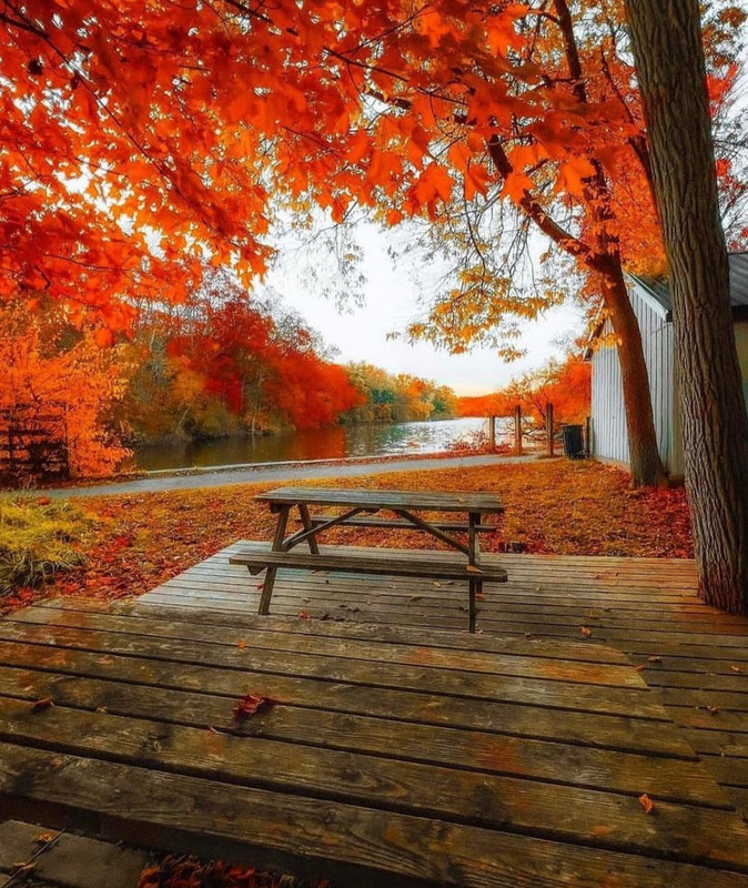 Screenshot_20231206_223805_Instagram